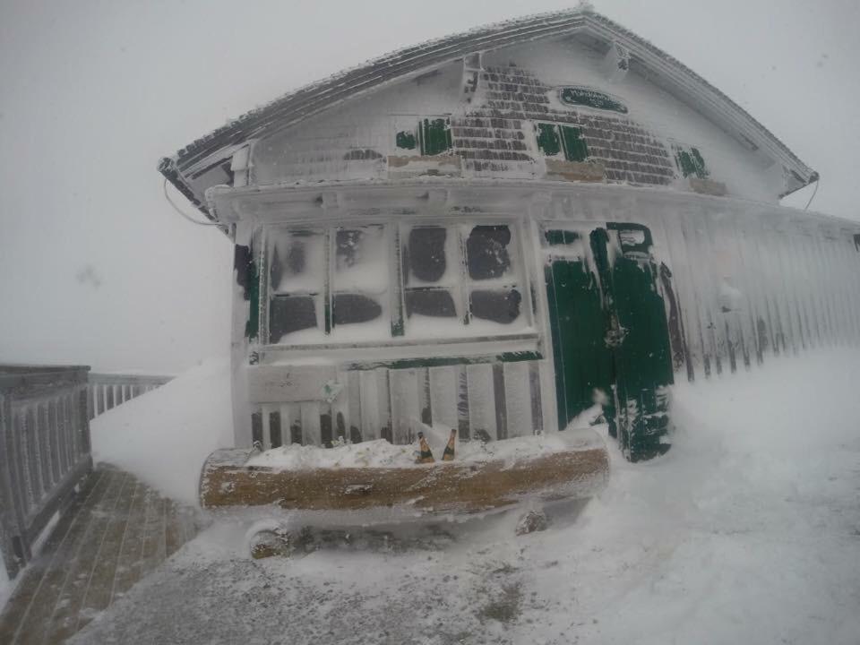 Haus Schlager "Dasappartement" Annaberg im Lammertal Esterno foto